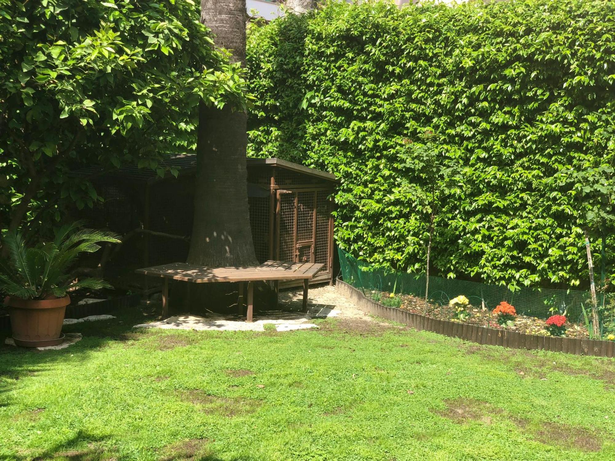La Tana Dei Dalmatini Apartment San Benedetto del Tronto Exterior foto